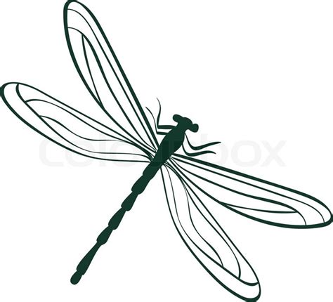 Abstract Dragonfly Vector Illustration Stock Vector Colourbox