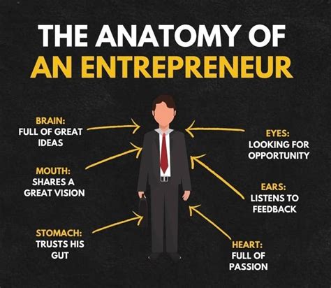 The Anatomy Of An Entrepreneurs