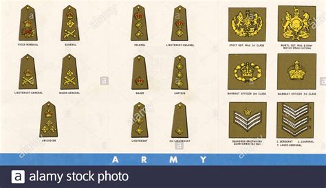 Visual Quick Guide To British Army Ranks Infographic Tv Number Vrogue