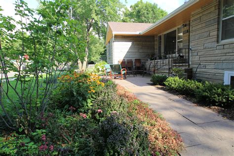 Benefits Of Adding Native Plants To Home Landscaping Ground One Mn﻿