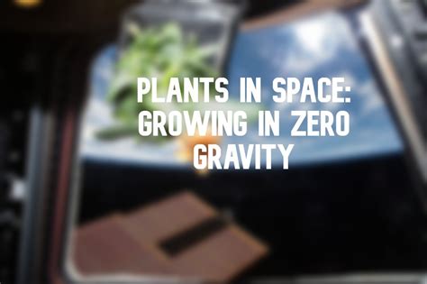 Growing Plants In Space Why It Is Important Orbital Today