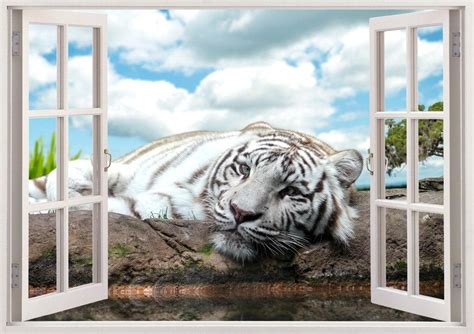 20 Collection Of Animals 3d Wall Art