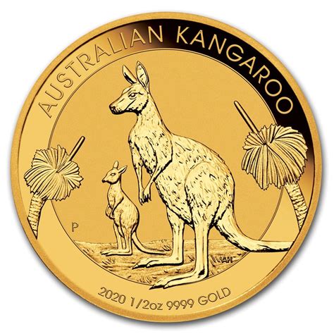 Australia Kangaroo 2020 12 Oz Pure Gold Coin In Capsule Perth Mint