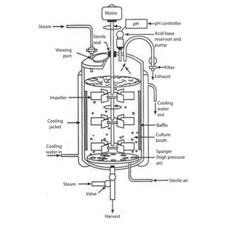 Bioreactor Definition Design Principle Parts Types Applications
