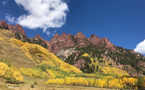 A Wandering Botanist Visiting Colorado Fall Mountain Scenes