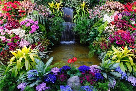 14 Flowers With Waterfall Gardening Soul