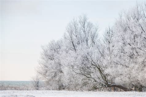 Hintergrundbilder Landschaft Himmel Schnee Winter Ast Eis Frost