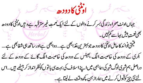Wellness mama » blog » health » benefits of camel milk: Oontni Kay Doodh kay Faiday (Camel Milk Benefits) in Urdu ...