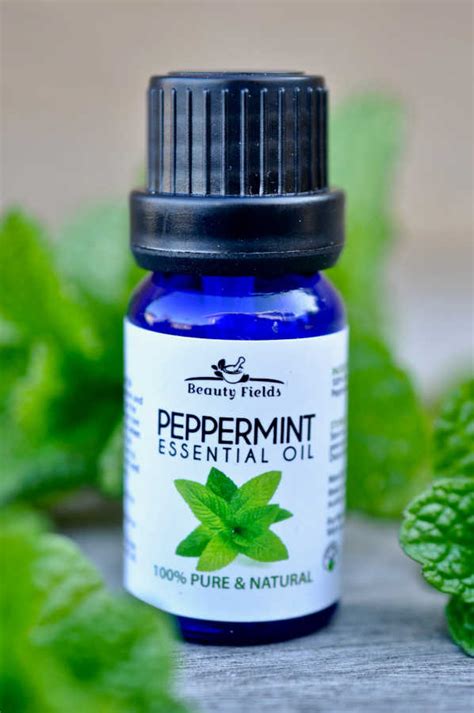 Buy And Save On Peppermint Oil 6 Easy Uses Beauty Fields