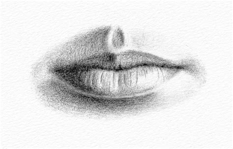 Pencil Portrait Drawing How To Draw A Mouth
