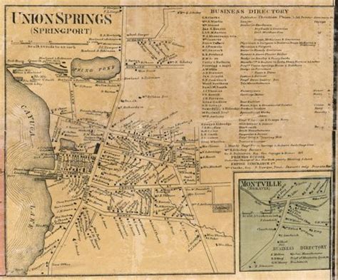 Union Springs New York 1859 Old Town Map Custom Print Cayuga Co