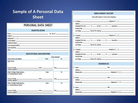 55 Luxury Soldier Personal Data Sheet