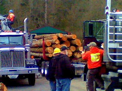 American Forest Lands Washington Logging Company Llc In Maple Valley