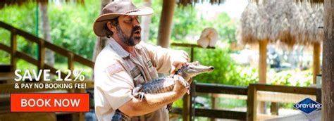 Coupon Codes For Everglades And Miami Day Tour From Orlando