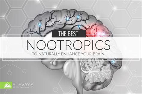 The Best Nootropics To Naturally Enhance Your Brain Elevays