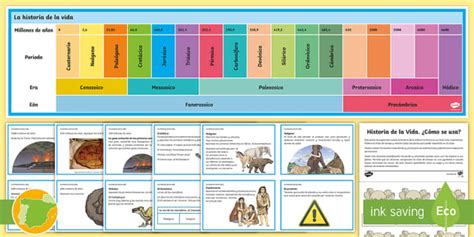 Línea del tiempo Historia de la vida Ciencias Sociales