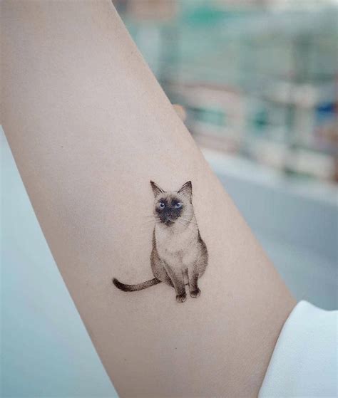 Pin By Kai Kai Teng On Tatoo Siamese Cat Tattoos Cat Tattoo Cat