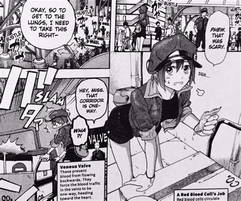 Cells At Work Vol Manga Review Taykobon