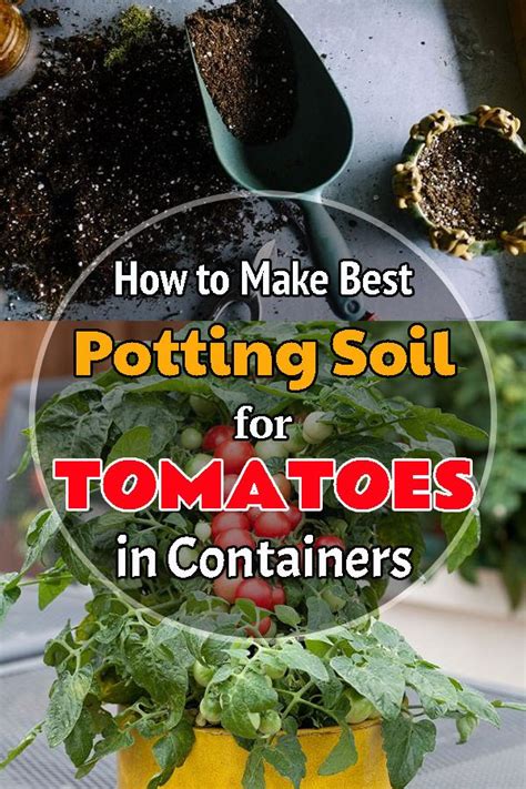 How To Make Best Potting Soil For Tomatoes In Containers Potting