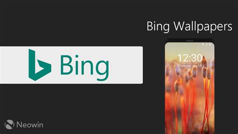 Bing Wallpaper Phone Bing Phone Wallpapers Top Free Bing Phone