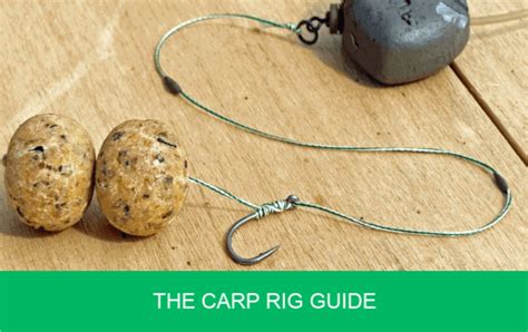 The Carp Rig Guide 2019 Inc The Famed Chod Rig Carp N Uk