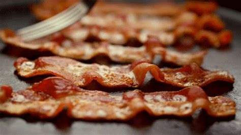 Bacon  Find And Share On Giphy