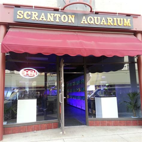 scranton aquarium a1 aquatics scranton pa