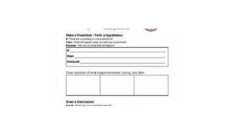drawing conclusions worksheet 5th grade