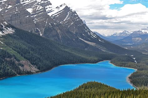 Spectacular Views Of Peyto Glacier And Peyto Lake The Gatethe Gate