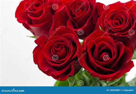 Red Roses White Background Valentines Day Wedding Card Stock Image