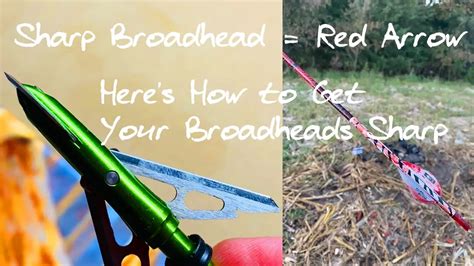 How To Sharpen Mechanical Broadheads Bow Hunting Advise