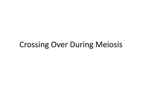 Ppt Crossing Over During Meiosis Powerpoint Presentation Free
