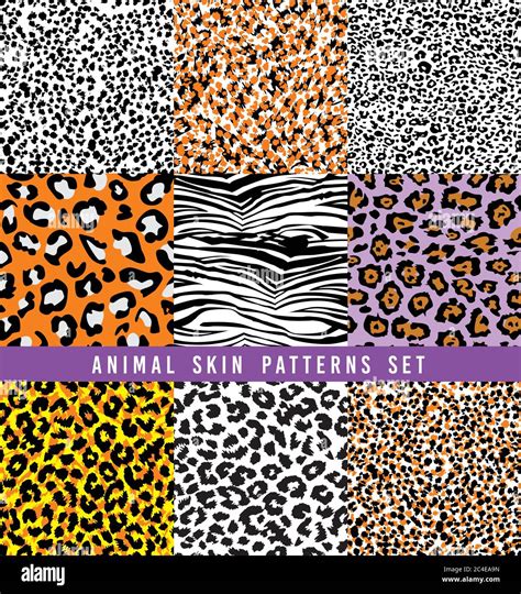 Set Of Animal Print Vector Patterns Stock Vector Image And Art Alamy