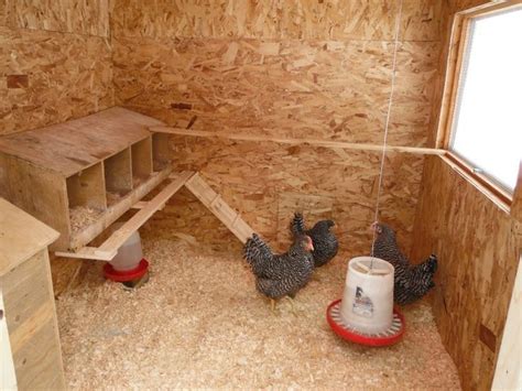 Photos De Vos Poulaillers Page Inside Chicken Coop Chickens Backyard Small Chicken Coops