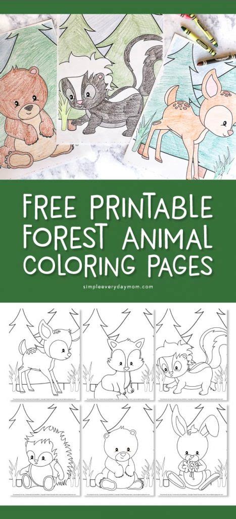 Free Printable Woodland Animal Coloring Pages For Kids