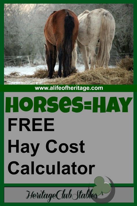 Hay Cost Calculator To Make Your Horse Feed Planning Made Easy