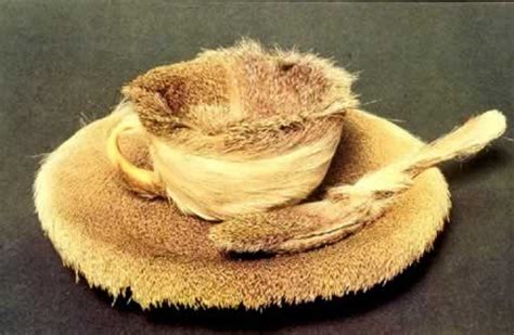 Meret Oppenheim S Fur Covered Cup And Saucer Neatorama