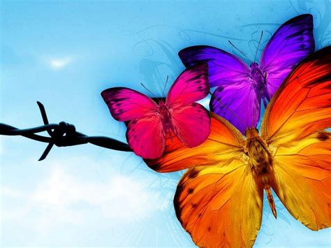 Check spelling or type a new query. Free Cool Wallpapers: butterfly wallpapers
