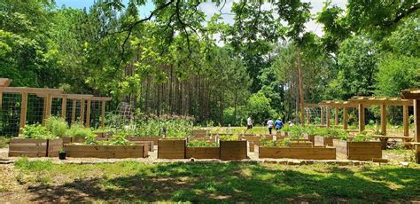 A City Has Just Created The Largest Free Food Forest