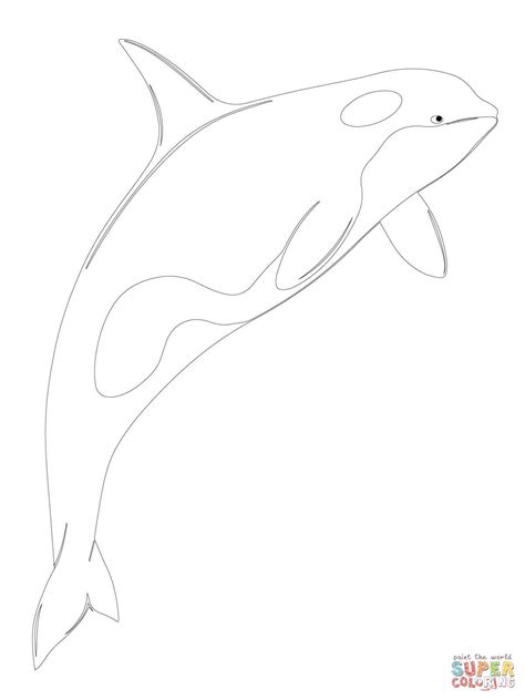 Simply click to download the design that you would like to color.when you are done, we'd love to see your finished work. Orca Whale Shamu coloring page | Free Printable Coloring Pages