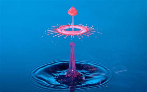 Water Drop Photography By Corrie White Freeyork