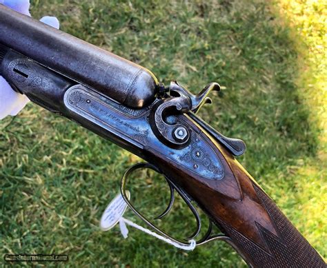 Very Fine Factory Engraved Colt Double Barrel 10 Gauge Shotgun