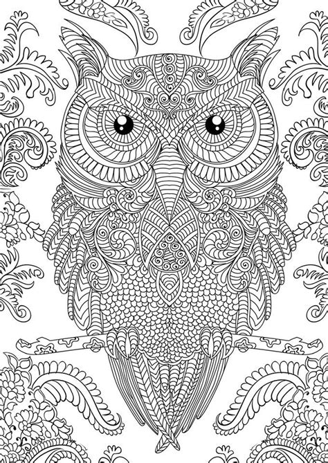 Owl Coloring Pages For Adults Free Detailed Owl Coloring