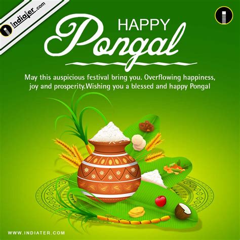 Pongal Festival Greetings Cards And Wishes Psd Template Indiater
