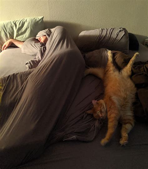 35 People Caught Napping In Funny And Uncomfortable