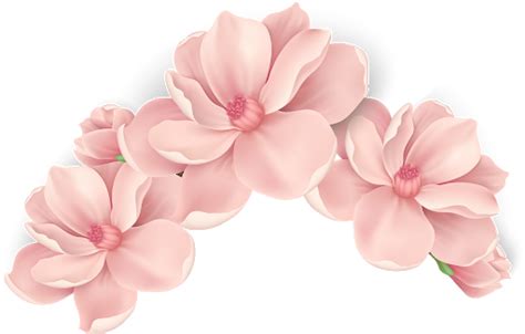 Flowers Vector Png Png Mart