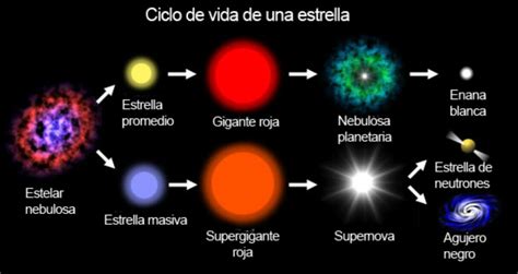 Ciclo De La Estrella Ciclo Vital Ciclos De Vida Estrella De Neutrones