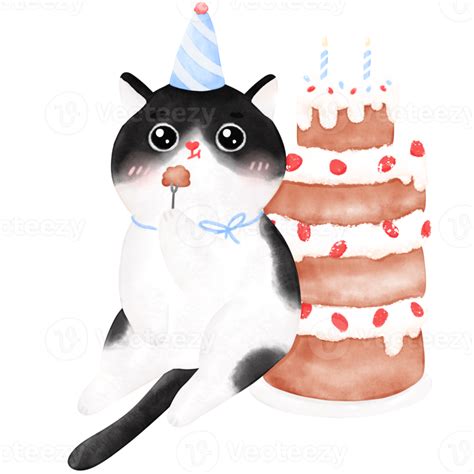 Happy Birthday Cat Funny Cat Cat Illustration Watercolor 20955883 Png