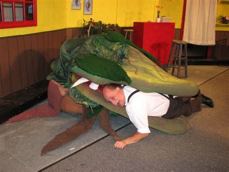 Check spelling or type a new query. Man-eating plant takes the stage | Weekender | Theater ...