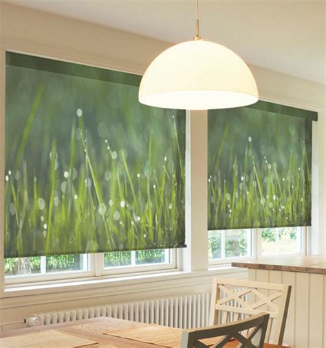 Blindsgalore Create Your Own Custom Graphic Shade Contemporary